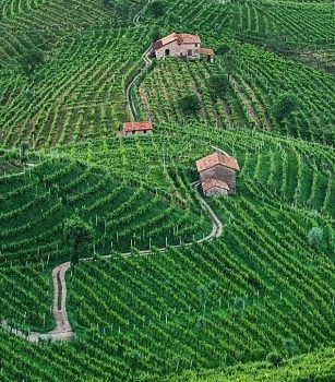 Pesticidi e bollicine: rischi per paesaggio e salute