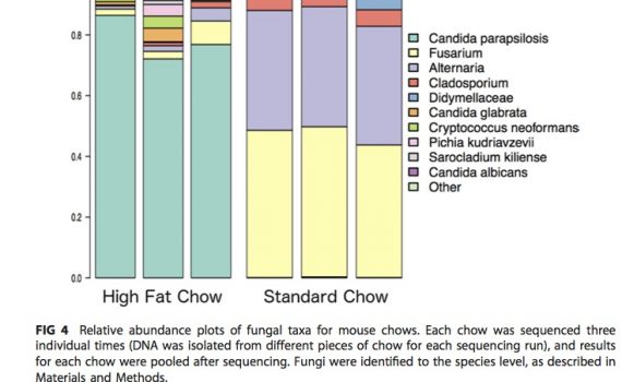 Funghi del Microbiota intestinale e sviluppo dell’obesità