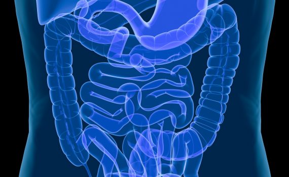 Il microbiota
