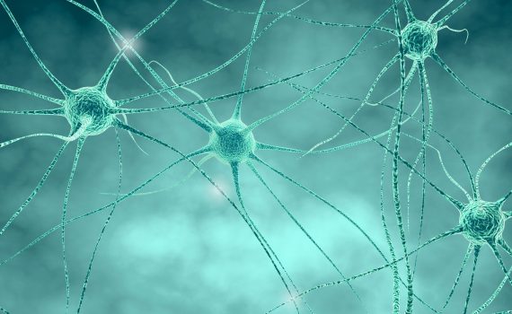 La nutrizione clinica nelle patologie neurologiche