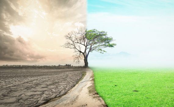 L’aumento dell’inquinamento del suolo compromette la sicurezza alimentare e la qualità igienico-sanitaria del cibo
