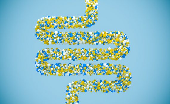 Novità sperimentali nella relazione batteri intestinali-obesità