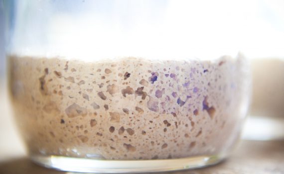 Alimenti fermentati e probiotici: benefici per la salute