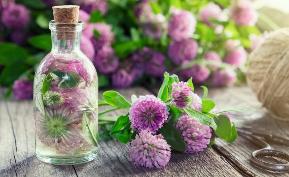 Menopausa e fitoterapia