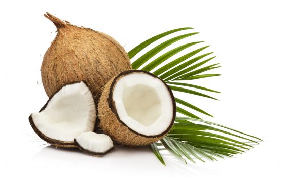 Cocco: proprietà e benefici