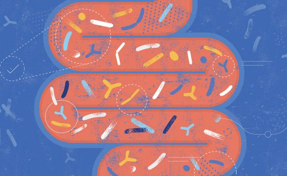 Microbiota e salute 