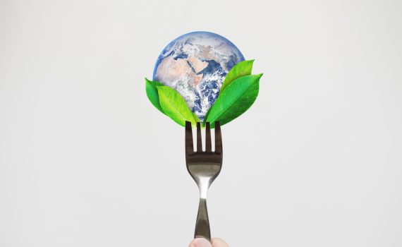 Ecosostenibilità delle nostre scelte alimentari