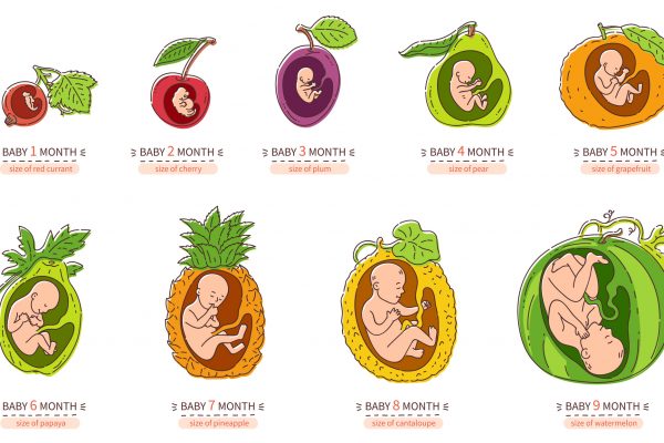Comportamento alimentare e genere: nuovi orizzonti per la personalizzazione degli interventi