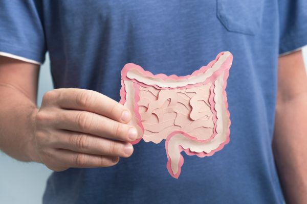 Che relazione esiste tra ansia, qualità della vita e microbioma intestinale?