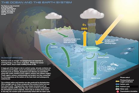 Relatório: os oceanos estão em estado crítico