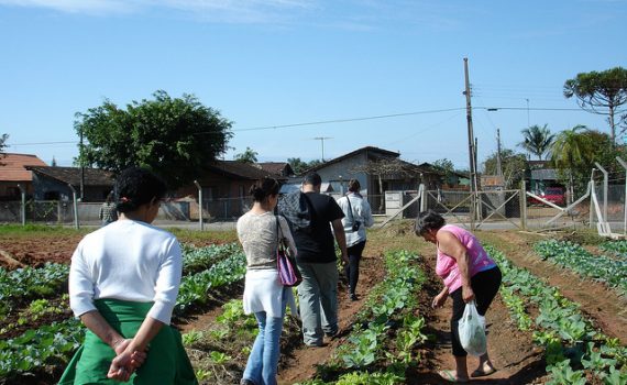 Influências da agricultura comunitária para o urbanismo