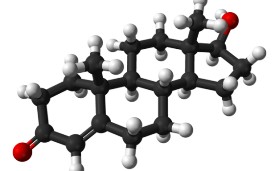 Estudo encontra correlação de testosterona com motivação esportiva