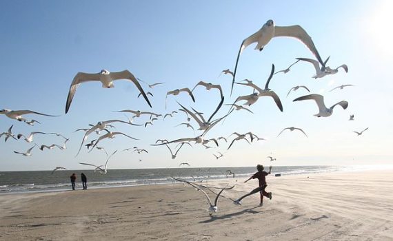 Exercite a sua criatividade: 15 atitudes para melhorar seu perfil empreendedor