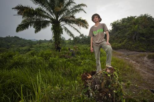 Biólogo recebe prêmio de 175 mil dólares por recuperar o habitat de rinocerontes