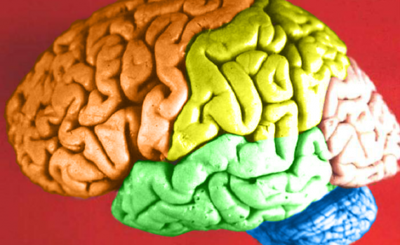 Estudo aponta aumento de importância do psicólogo esportivo no futebol