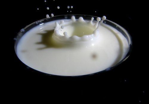 Mulheres espanholas devem melhorar o consumo de cálcio para prevenir a osteoporose