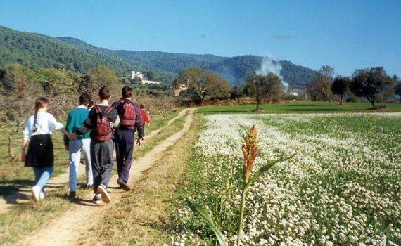 Experiências da educação para pessoas com autismo