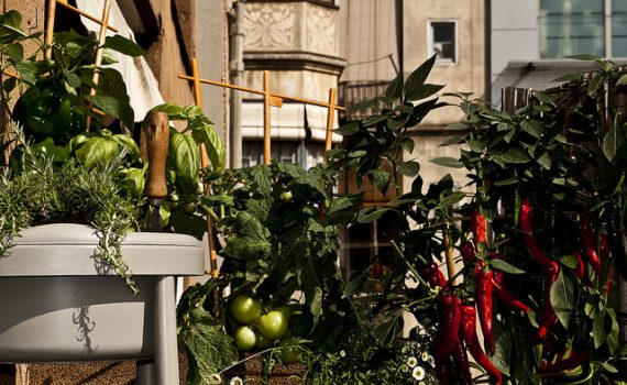 Por um novo modelo de cidade