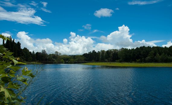 Acordo pelo meio ambiente