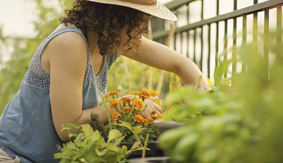 10 tendências em inovação urbana