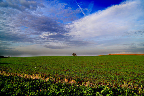 Melhorar a gestão da água na agricultura poderia reduzir o problema da fome