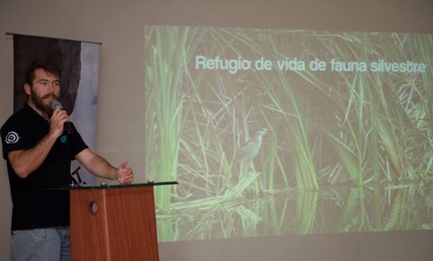 Avaliando o impacto de incêndios em pântanos do Peru