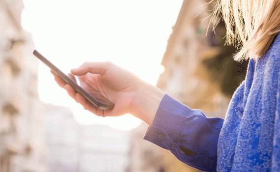 Criam aplicativo para caçar mosquitos com colaboração cidadã