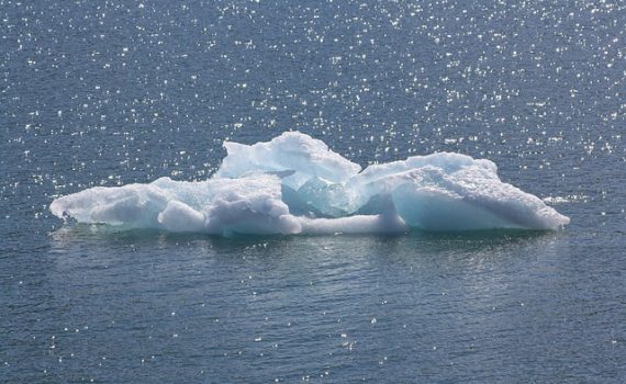 O valor da água de luxo para o meio ambiente