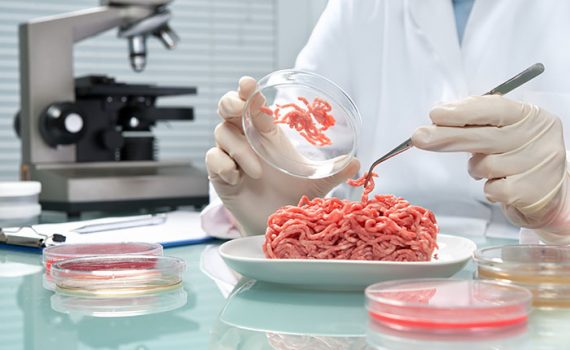 Revolução alimentar: comeremos alimentos de laboratório?