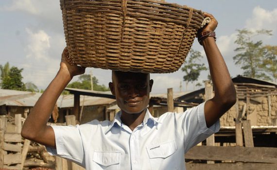 É necessário promover os cultivos marginalizados