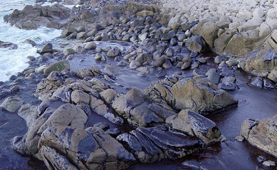 15 anos da tragédia do petroleiro “Prestige”