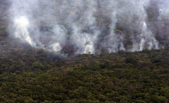 Incêndio queima 28% da maior reserva de cerrado do planeta