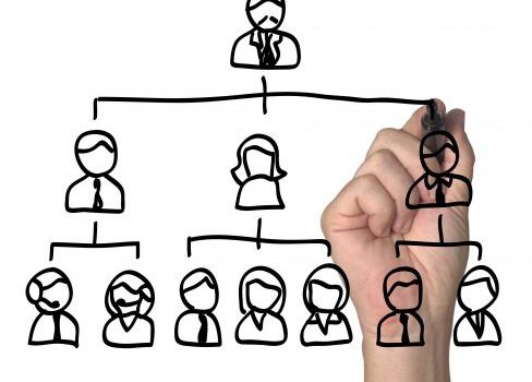 Clareza no organograma da empresa evita disfunções