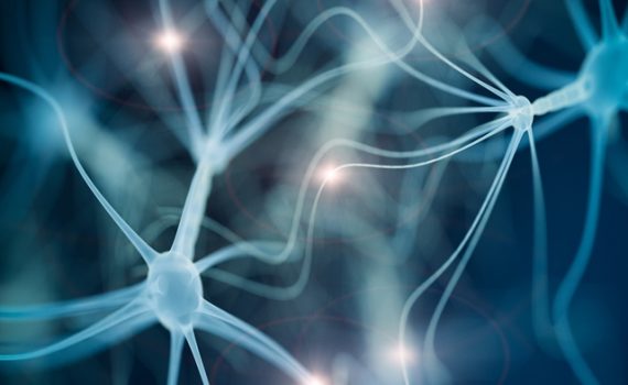 Causas dos desequilíbrios no sistema nervoso