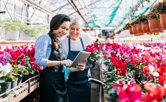 A importância da estratégia patrimonial em empresas familiares