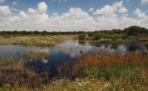 As dívidas de um dos maiores desastres ambientais na Espanha