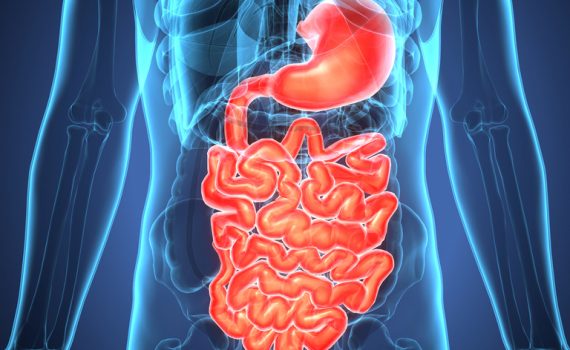 Desgaste do fígado está relacionado com o risco de Alzheimer