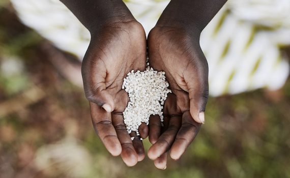 Alerta para a fome em larga escala no Sudão do Sul
