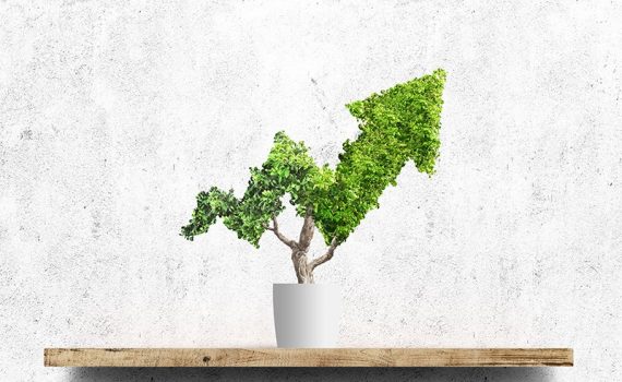 Investimento social, realidade entre gestores