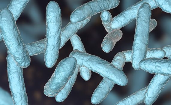 Investigam a influência da microbiota intestinal para a saúde
