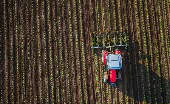 Estudo mapeia o uso de agrotóxicos nos alimentos no Brasil
