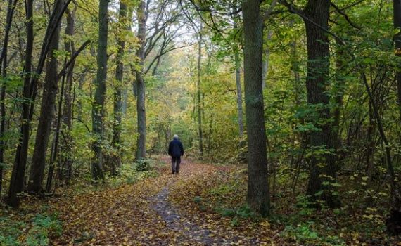 Número de idosos desaparecidos na Espanha aumenta a cada ano