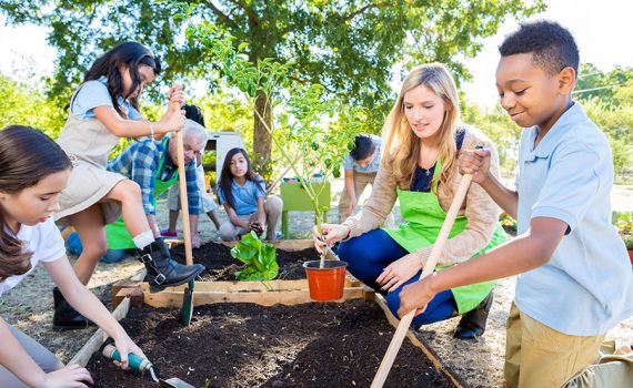 Pedagogia verde e educação emocional: cuidando da saúde mental