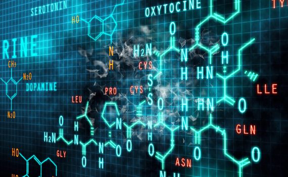 Alimentos ultraprocessados desregulam dopamina