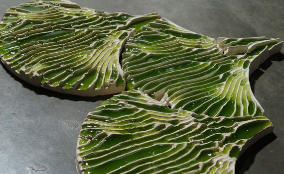 Algas servem como filtro para a purificação de água contaminada