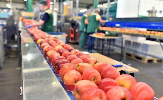 Perguntas e respostas sobre o impacto do COVID-19 na alimentação