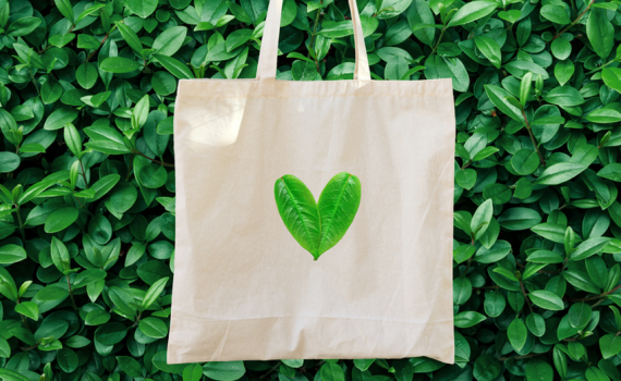 Atuais exigências sustentáveis do consumidor