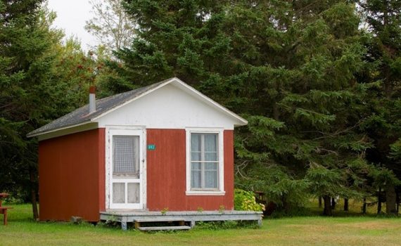 Minicasas, transição para um futuro melhor