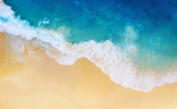 Soluções naturais para combater as mudanças climáticas