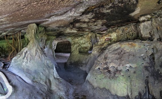 Conservar os ecossistemas subterrâneos na Colômbia